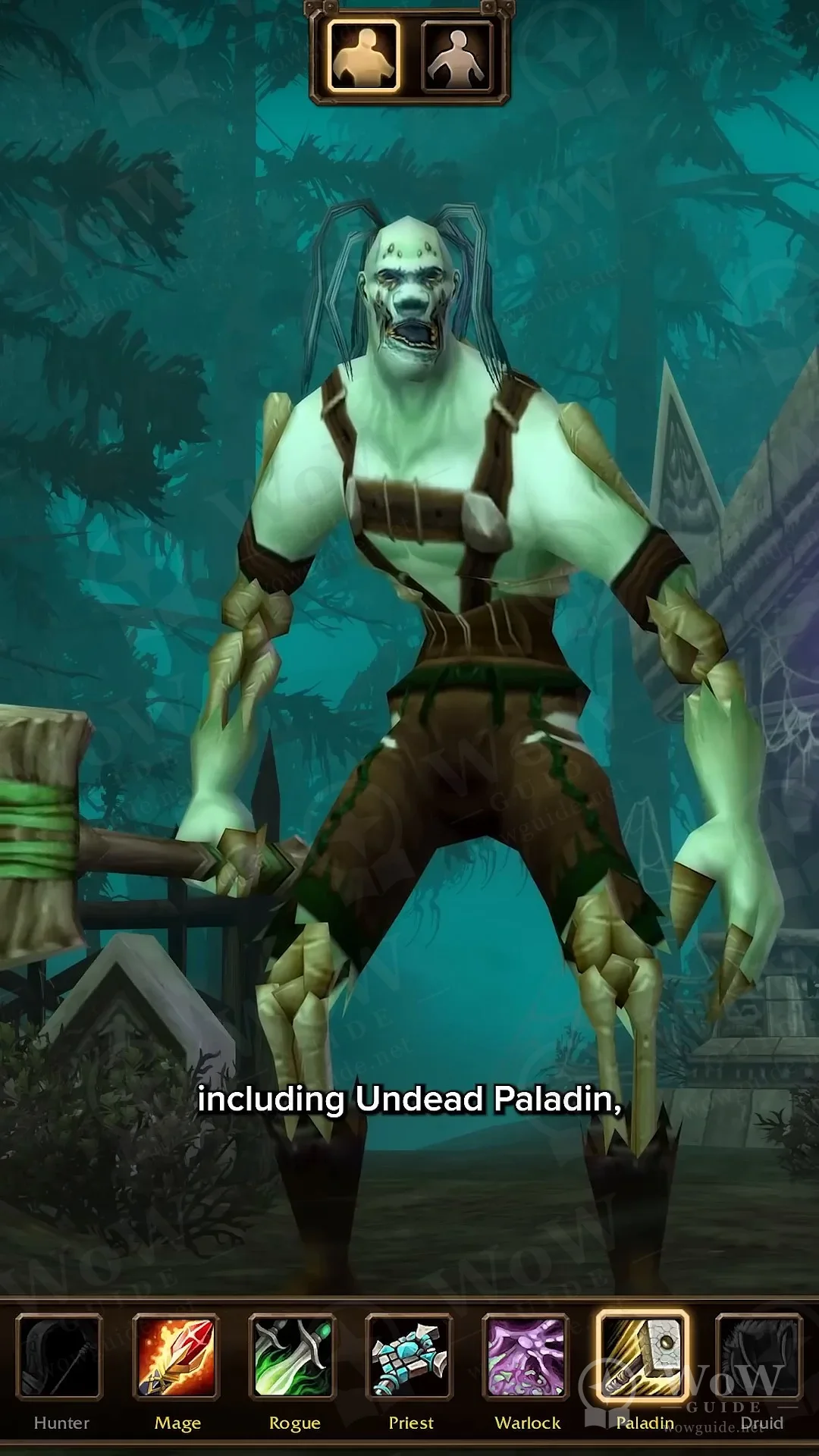 An Undead character in character creation with Paladin selected on the class icon bar below