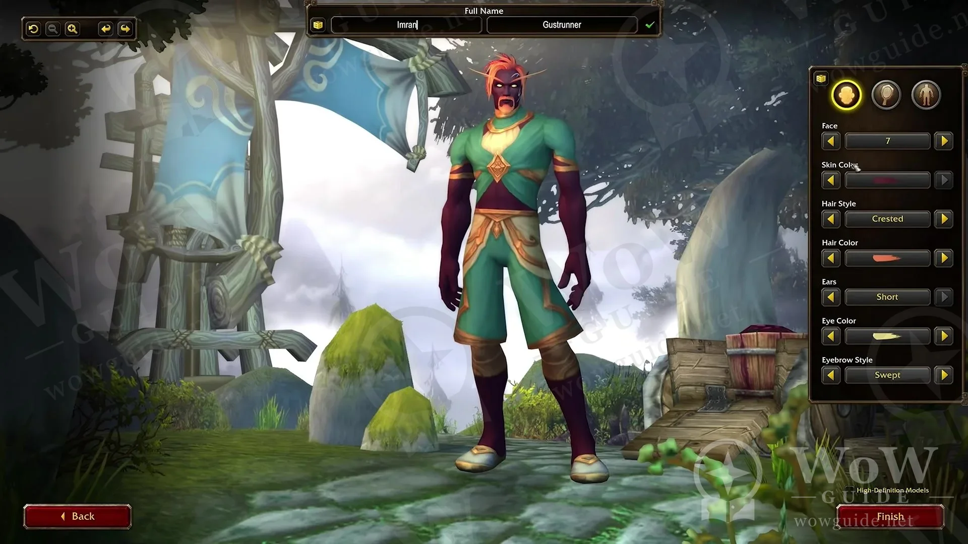 Character creation screen: a male Skyborne character with face, skin colour, hair style, ears and eye colour options on the right, first and last name boxes at the top, and the High-Definition Models checkbox and Finish button at the bottom