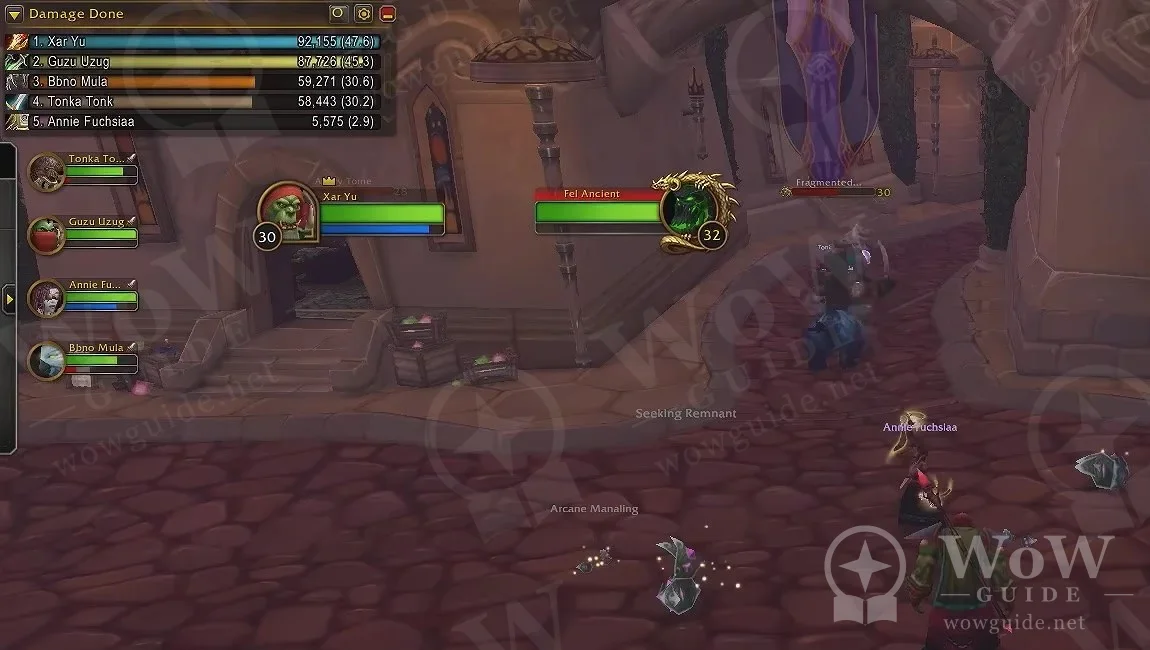 The built-in Damage Done window ranking five party members with bars, with party frames and a target frame below