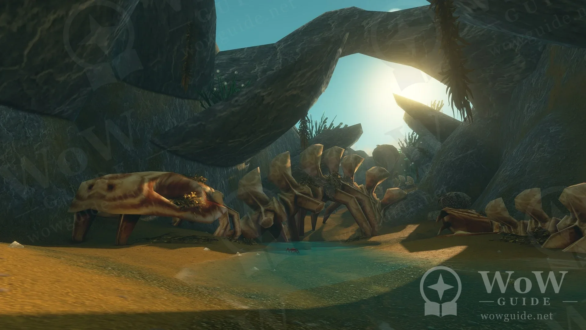Giant fossil in a sunlit cavern from one of the new dungeons
